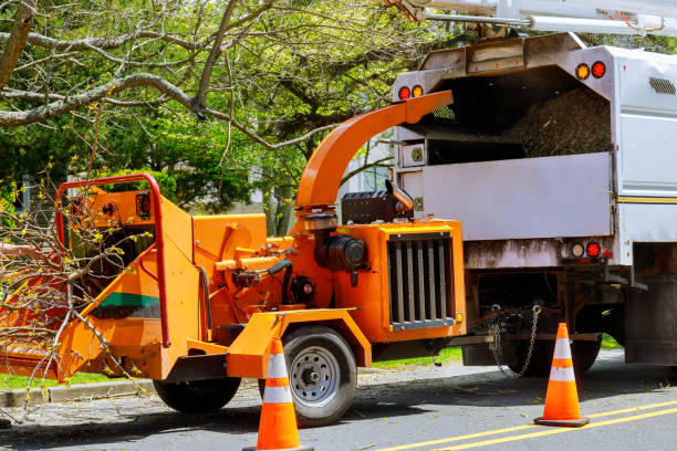 Best Firewood Processing and Delivery  in Eidson Road, TX